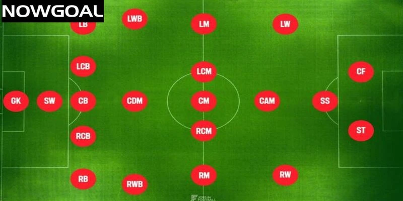 Vị trí SW là gì?